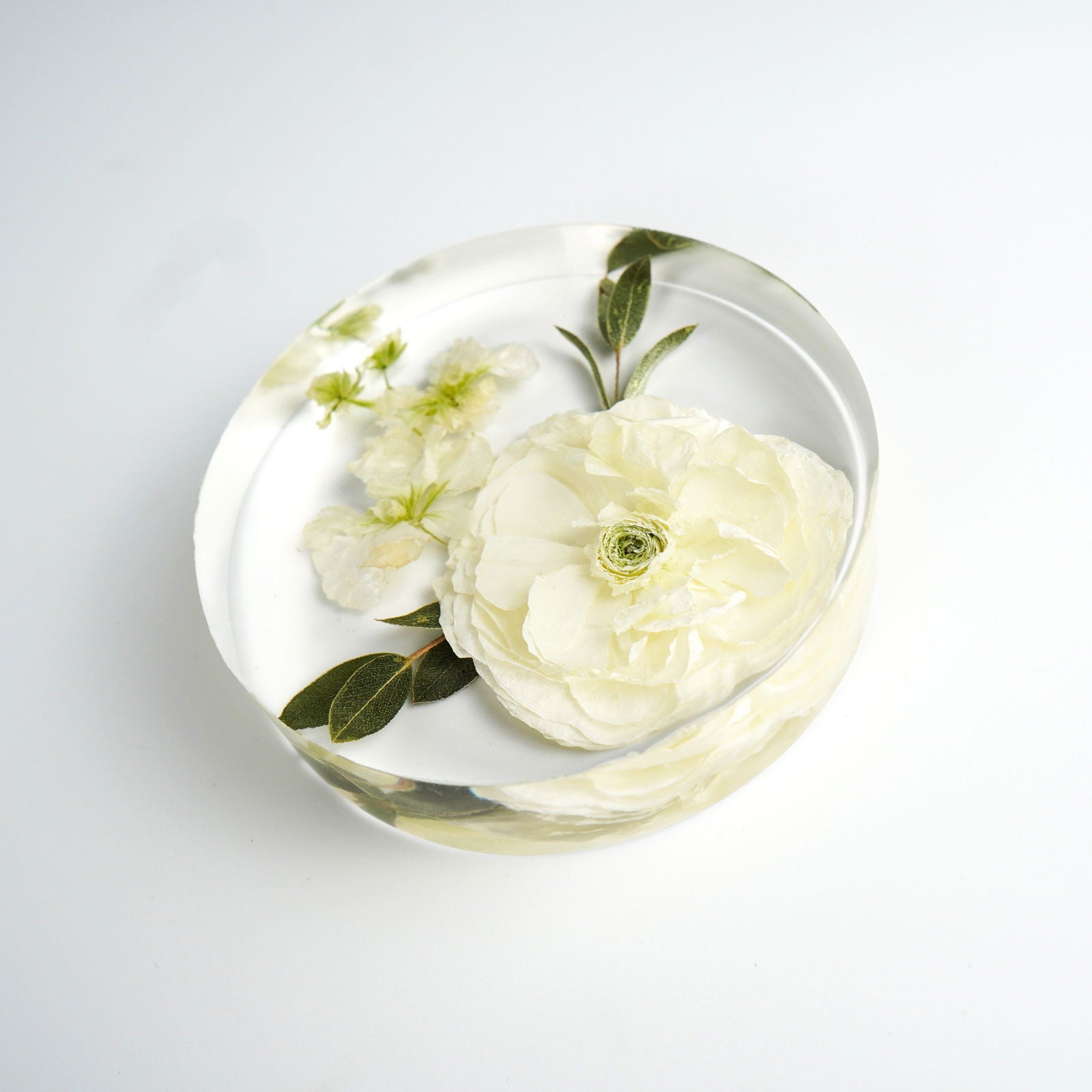 Coaster - Endless Florals