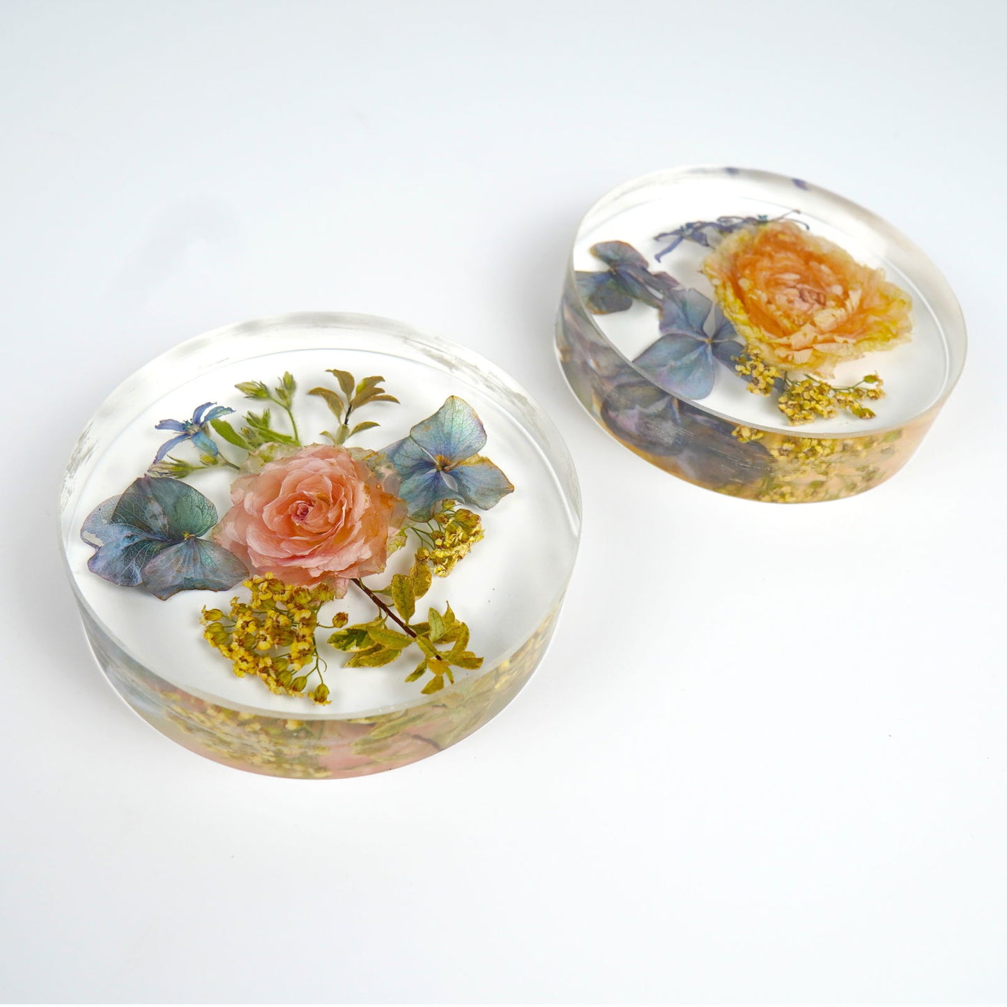 Coaster - Endless Florals