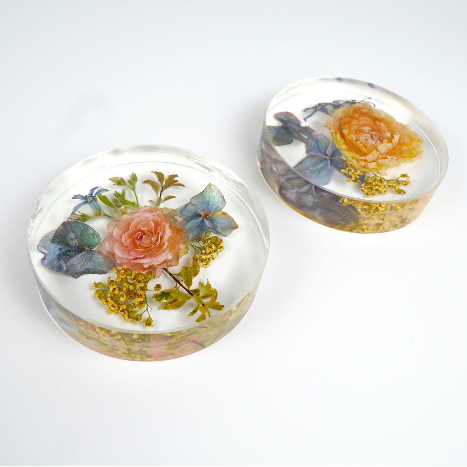 Coaster - Endless Florals