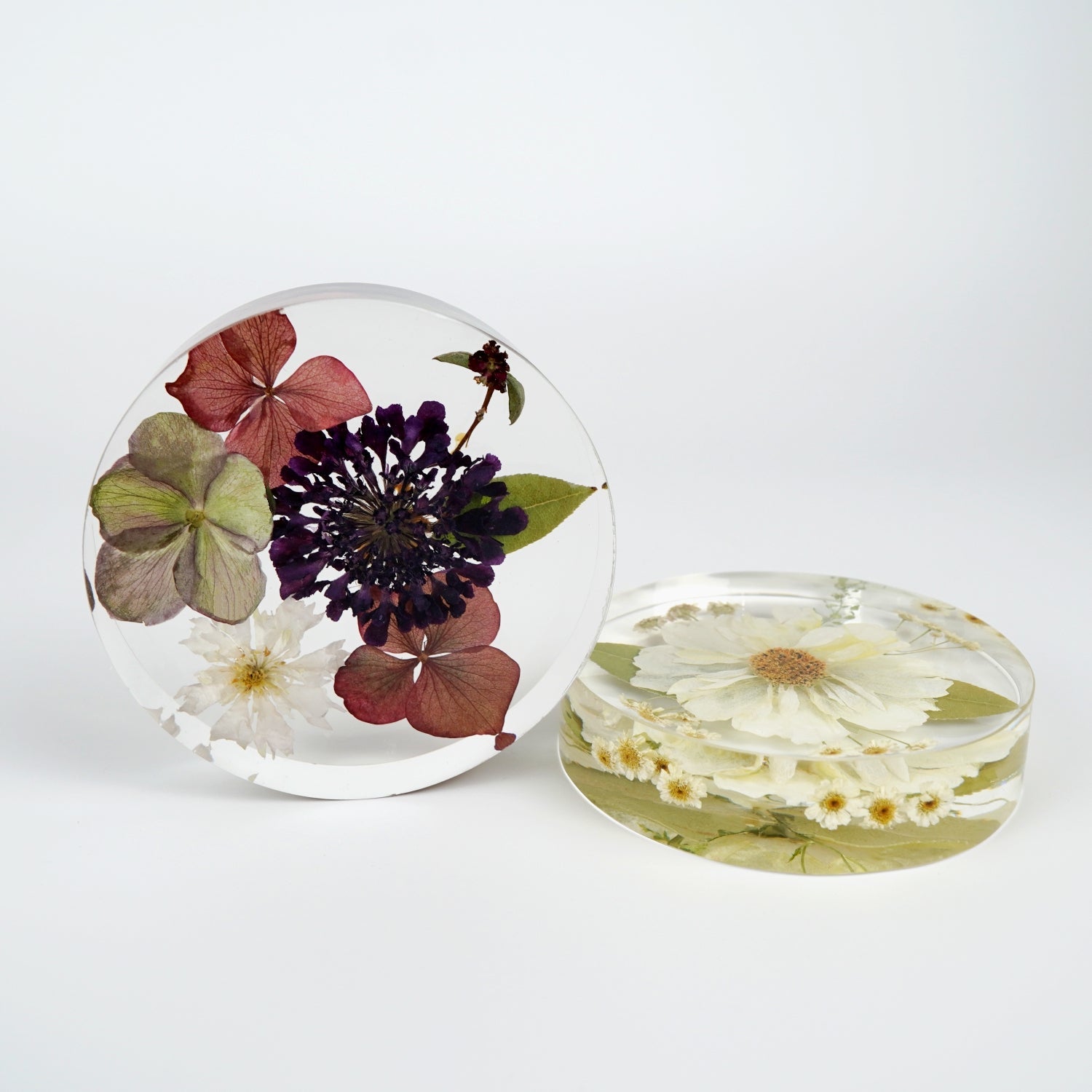 Coaster - Endless Florals