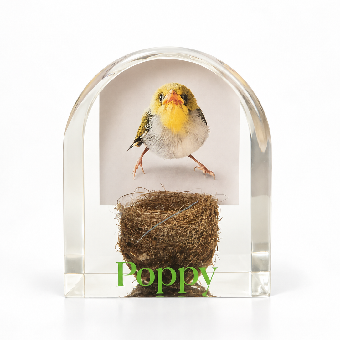 Pet Memorial - Resin Block